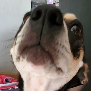 Meet your Posher, Milan